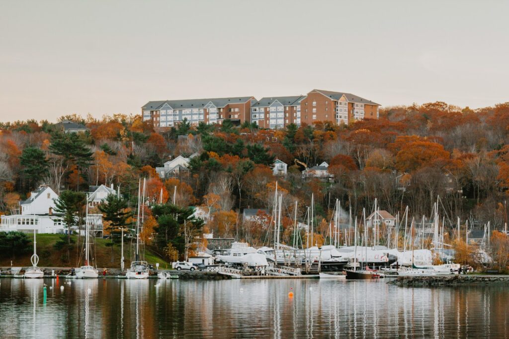 a group of boats are docked in a harbor